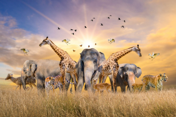 Fototapet Animale din savana africana 200 x 150 