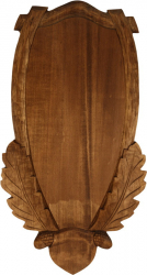 Panoplie trofeu cerb S3 