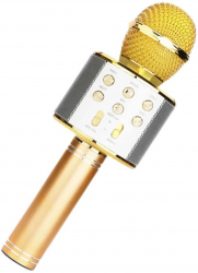 Microfon karaoke cu efecte sonore model pentru copii Gold 
