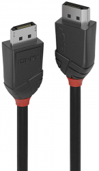 Cablu video LINDY Black DisplayPort Male - DisplayPort Male v1.2 2m negru