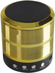 Boxa Portabila Cu Bluetooth Cititor USB Card Radio Auriu 
