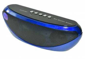 Boxa portabila elSales PX-2512BT cu Bluetooth USB MicroSD Radio FM albastru 