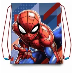 Sac Sport Spiderman 40 cm 