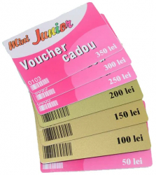Voucher cadou Mini Junior VRC4 Multicolor 