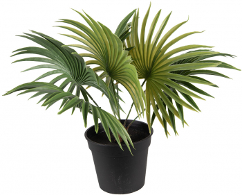 Planta artificiala in ghiveci 43x40x33 cm 