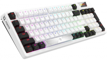 Tastatura Gaming AQIRYS Adara RGB Mecanica USB Switch HaiMu Pink AQRYS_ADARA 