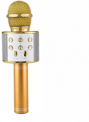 Microfon karaoke SIKS® profesional cu boxa inclusa SD Card USB AUX Gold 