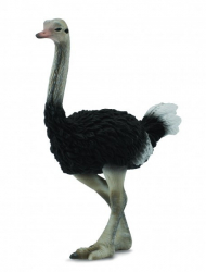 Figurina Strut L Collecta 
