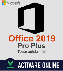 Office Pro Plus 2019 Retail - Licena Permanenta 
