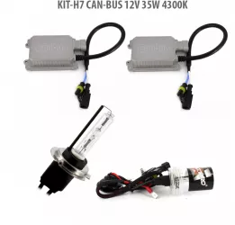 H7 CAN-BUS 12V 55W 4300K 