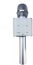 Microfon KlaussTech karaoke wireless cu boxa inclusa 
