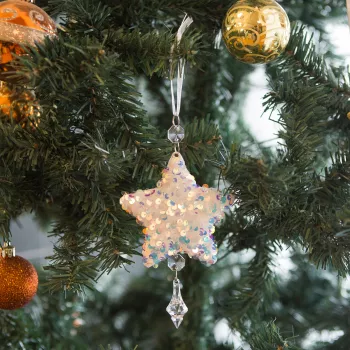 Ornament pentru bradul de Craciun - stea- irizat acrilic - cu agatatoare - 2 forme fulg si stea 