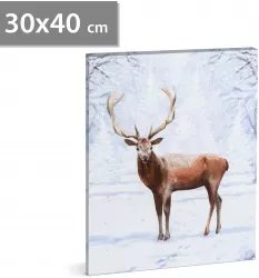 Tablou LED - cu ren - 2 baterii AA 30 x 40 cm 58475 