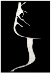 Decoratiune de perete Krodesign Women Face 38x27 cm metal negru 