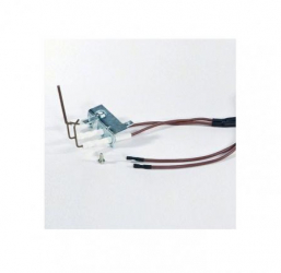 Electrod Vaillant 090721 