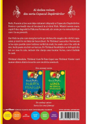 Copacul Departarilor 2. Magia Copacului Departarilor Enid Blyton - Editura Art 