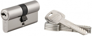 Cilindru usa / butuc 30 x 30 mm Trafic 6 inalta securitate THIRARD 