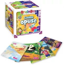 Joc educativ Brainbox Cuvinte opuse 