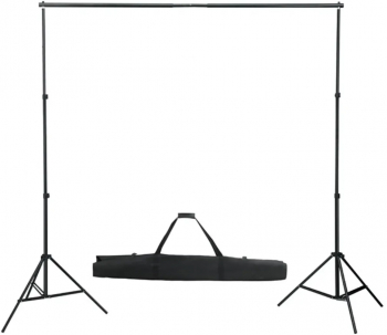 vidaXL Sistem de suport fundal 600 x 300 cm verde 