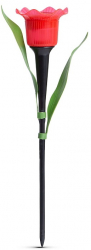 Lampa Solara LED tip Floare Lalea pentru Gradina Culoare Rosie Inaltime 30cm