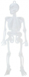 Set cu 6 scheleti decorativi Trendy Vibes cu inel de prindere pentru laborator anatomie sau petreceri 15x 5 cm Transparent