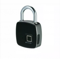 Lacat USB cu amprenta Gonga® Gri 