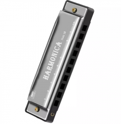 Muzicuta DMTS 10 hole argintie Gonga® Argintiu 
