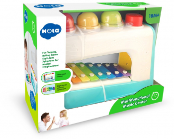 CENTRU MUZICAL MULTIFUNCTIONAL 