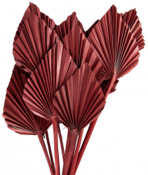 Buchet flori roz intens uscate 60 cm