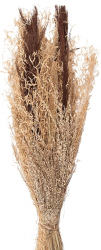 Buchet flori uscate 18x6x60 cm 
