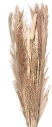 Buchet flori uscate 25x8x100 cm 