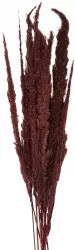 Buchet flori uscate maro 100 cm 