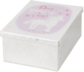Set 2 cutii depozitare metal 14x6x10 cm 