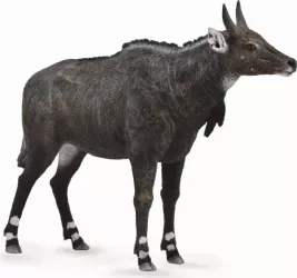 Figurina Antilopa Nilgai L Collecta 
