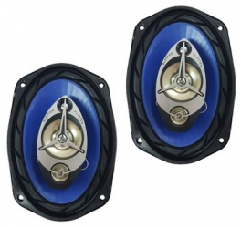 Set De Boxe Auto Planter 6 X 9 Inch Putere 900 W Max Diametru Boxe Oval Site Metalice De Protectie Grilaj Din Plastic