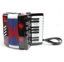 Acordeon KlaussTech pentru copii 17 clape si 8 butoane de bass