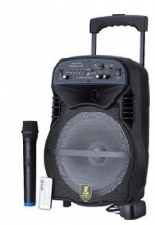 Boxa Activa Portabila Troller cu Microfon Bluetooth Display Fm Sd Aux Lumini Telecomanda 