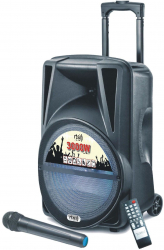 Boxa Audio Portabila Rts Conectivitate Prin Functia Bluetooth Afisaj Led Port Usb Tuner Tf Radio Fm Telecomanda Inclusa Capaci 