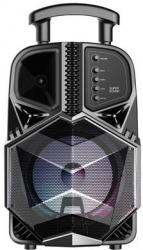 Boxa Portabila Karaoke X12 Cu Microfon microsd Card Usb Aux 