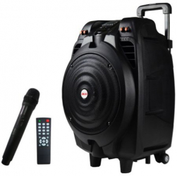 Boxa Portabila Smart Gadget Cu Maner Si Microfon Functie Bluetooth Putere 50 W 