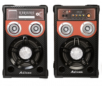Boxe Active Profesionale Ailiang usb/ Sd/radio Fm Aux Negre Doua Mufe Jack Pentru Microfon 6.3mm . 