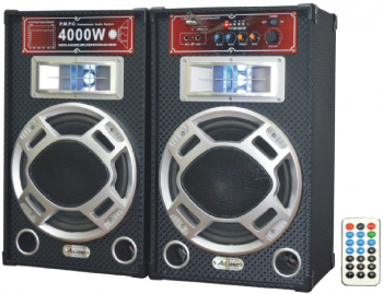 Boxe Profesionale Ailiang Usb Sd Card Radio Fm Bluetooth Telecomanda 