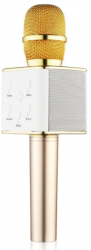 Microfon Klausstech Cu Boxe Incorporate Pentru Karaoke Cu Wireless Si Bluetooth Gospodarul