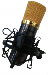 Microfon Cu Condensator Profesional De Studio Cu Fir Si Alimentator 