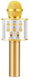 Microfon Klausstech De Karaoke Boxa Incorporata Fara Fir Bluetooth Usb Sd Card Aux Butoane Cu Functiile Next / Previous / Volum Boxa 