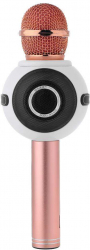 Microfon Karaoke Klausstech Cu Amplificator Integrat Bluetooth Usb Microsd Card 