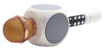 Microfon Klausstech Karaoke Disco Led Hifi 