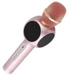 Microfon Magic Klausstech Karaoke Player Fara Fir Wster Wireless Sistem Profesional Cu Boxe Si Bluetooth Rose Auriu 