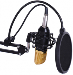 Microfon Profesional Klausstech Conectare Usb Plug&play Pentru Streaming Podcast Si Inregistrari Carcasa Din Metal Uni-directional N 