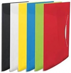 Set 5 Mape cu elastic Leitz ESSELTE 624046 A4 din polipropilena - RESIGILAT 